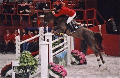 De quel type est cet obstacle ?