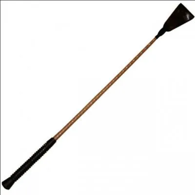 La cravache est une aide :