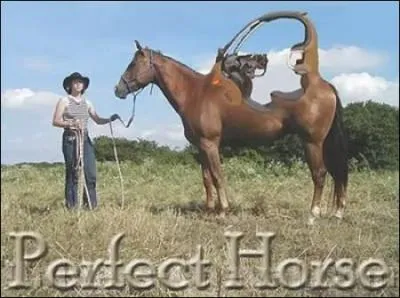 Et  quel objet est-il mlang ?