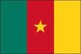 Qui est la grande star de foot au Cameroun ?