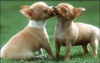 A minuit, vous avez eu votre compte pour l'année, trouvez le titre de ce film où Lambert Wilson et Charlotte Valandrey évoluent !