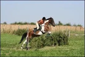 Quel est cet obstacle ?