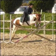 Quel est cet obstacle ?