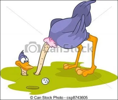 Les autruches s'enfoncent la tte dans le sable pour se cacher des prdateurs ?