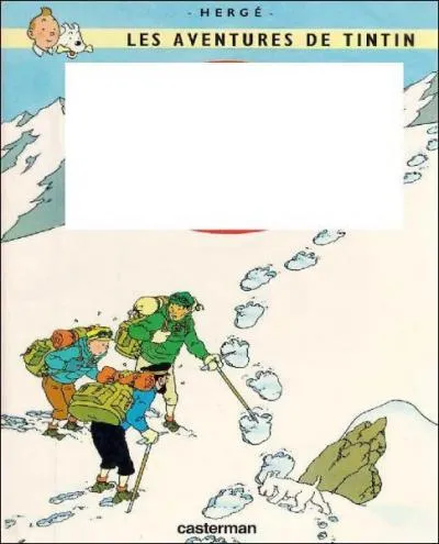 De quel album est tire cette couverture ?