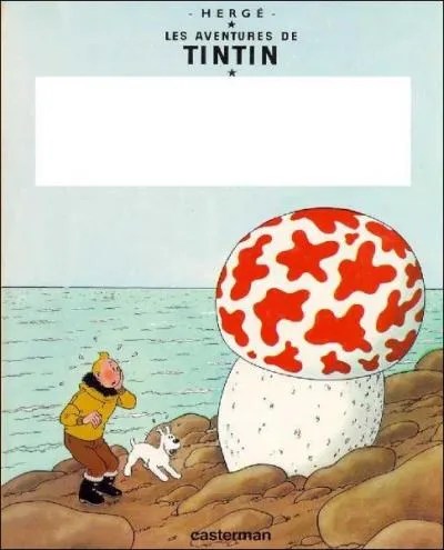 De quel album est tire cette couverture ?