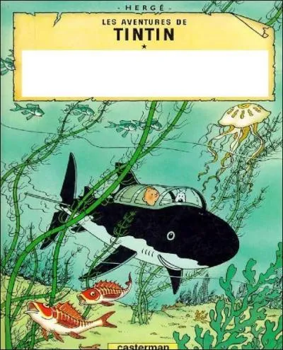 De quel album est tire cette couverture ?