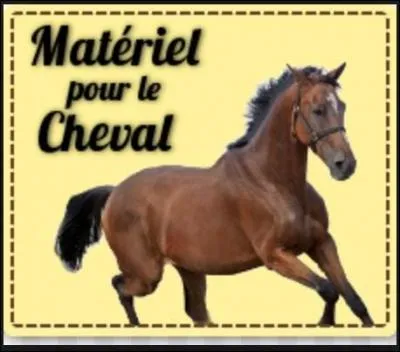 liminer le mot intrus :