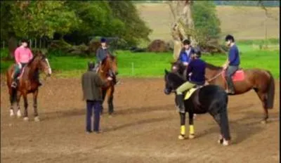 Qu'est-ce qu'un  sellier  ?