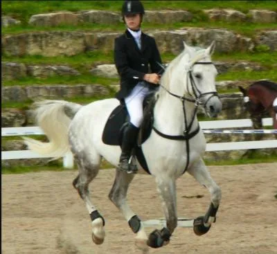 Lequel de ces objets n'appartient pas exclusivement au domaine de l'quitation ?