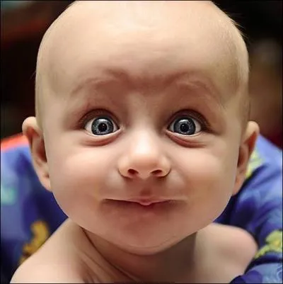 Quelle dent du haut fait ruption chez un bb g de 23  30 mois ?