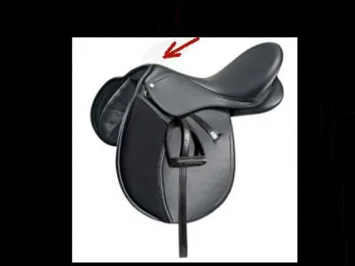 Comment s'appelle cette partie de la selle ?