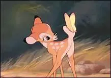 Quel est le meilleur ami de Bambi ?
