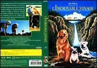 De quelles races sont les deux chiens en  l'incroyable voyage  ?