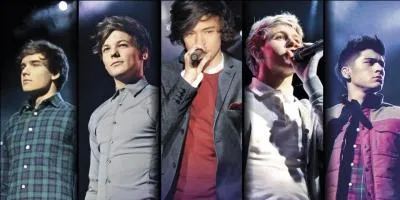 A quelle mission tl ont-ils particip pour devenir les  One Direction  ?