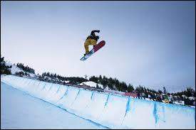 Le snowboard est un sport de glisse sur neige dont la position sur la planche est inspirée de celle du surfeur. Laquelle de ces disciplines de snowboard a pour but de réaliser des figures acrobatiques ?