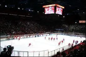 Le hockey sur glace est un sport d'quipe se jouant sur une patinoire, l'objectif de chaque quipe est d'envoyer le palet dans le but adverse. Avec quel(s) accessoire(s) le palet est-il manipul ?