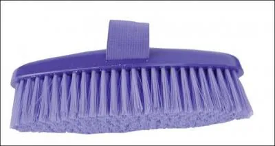 Comment s'appelle cette brosse ?