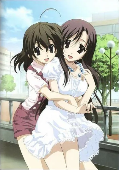 [Anime] Dans  School Days , qu'arrive-t-il  Kotonoha ?