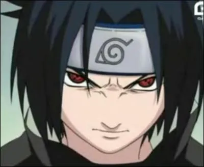 Quel est le nom de la technique utilise par Sasuke qui a t recopie par Naruto mais vole  Lee grce au sharingan ?