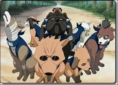 Qui matrise les crocs traqueurs ?