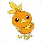 De quel type est ce Pokmon ?