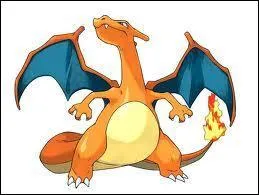 Dracaufeu est de type...