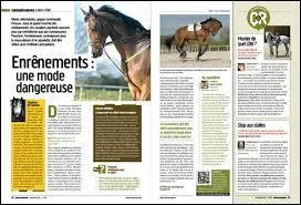 Les enrnements en gnral, servent  :