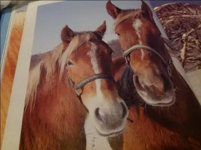 Coche la mauvaise rponse :