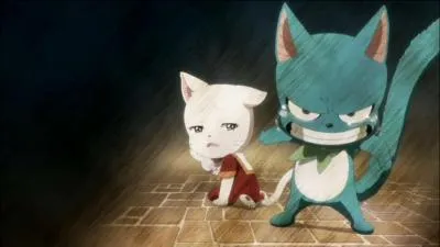 A quel manga appartient cette boule de poils ?