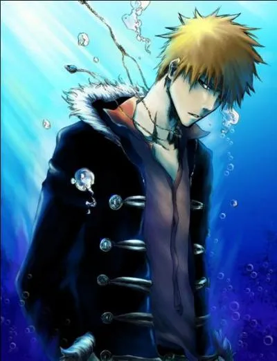 Quel est le poids d'Ichigo ?