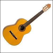 Comment appelle-t-on cet instrument de musique ?