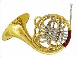 Quel est cet instrument de musique ?