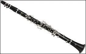 Quel nom porte cet instrument de musique ?