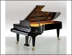 Quel nom donne-t-on  cet instrument de musique ?