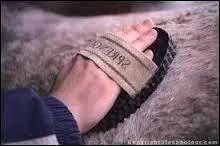 Les soins que l'on peut faire au cheval aprs le travail sont : doucher, bander, graisser les pieds, panser et...