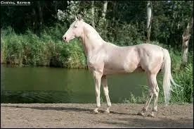 La ferrure sert  corriger les aplombs et mettre des crampons, mais aussi :