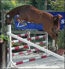 Le mcanisme du saut est :