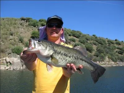 A petite ou  grande bouche, l'achigan de nos cousins qubcois, maintenant trs prsent en Europe, fait rver les pcheurs du monde entier !