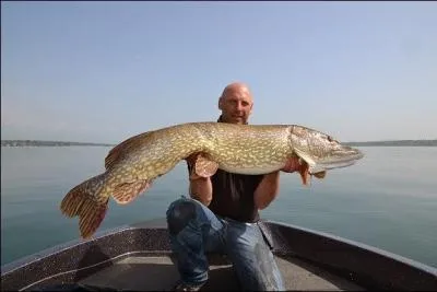 On l'appelle rgulirement  Les dents de la rivire , mme sans tre pcheur, vous le connaissez forcment, je vous prsente ...