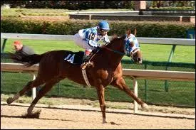 Quel est le titre de ce film ?