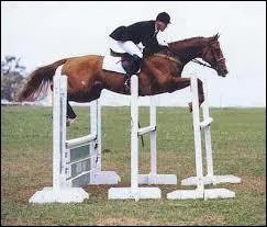 Quels obstacles ne sont pas des obstacles de C. S. O. ?