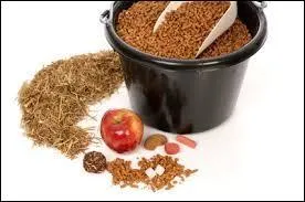 En moyenne, combien de repas le cheval prend-il par jour ?