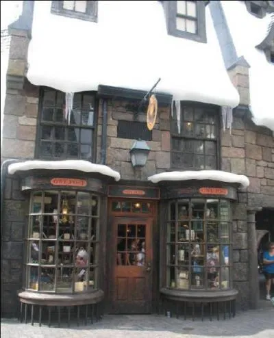 Pr-au-Lard possde galement une poste o il est possible d'envoyer des messages par hibou. D'ailleurs,  ce propos, comment s'appelle la chouette de Harry Potter ?