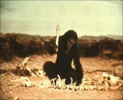 De quel film est tire cette photo ?