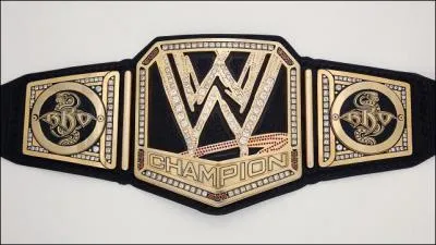 Dans quel pays s'est-il fait attaquer le 30 juillet 2013 ?