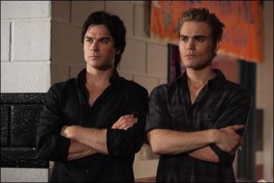 Qui les 2 frres Salvatore admirent-ils ?