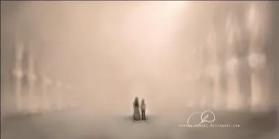 Que voit Harry aprs le sort puissant qu'il a reu de Voldemort ?