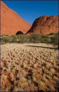 Dans quel pays se trouve le dsert de l'Ayers Rock ?