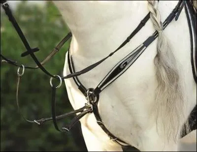 Quelle est cette chose ?